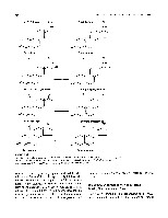 Bhagavan Medical Biochemistry 2001, page 817